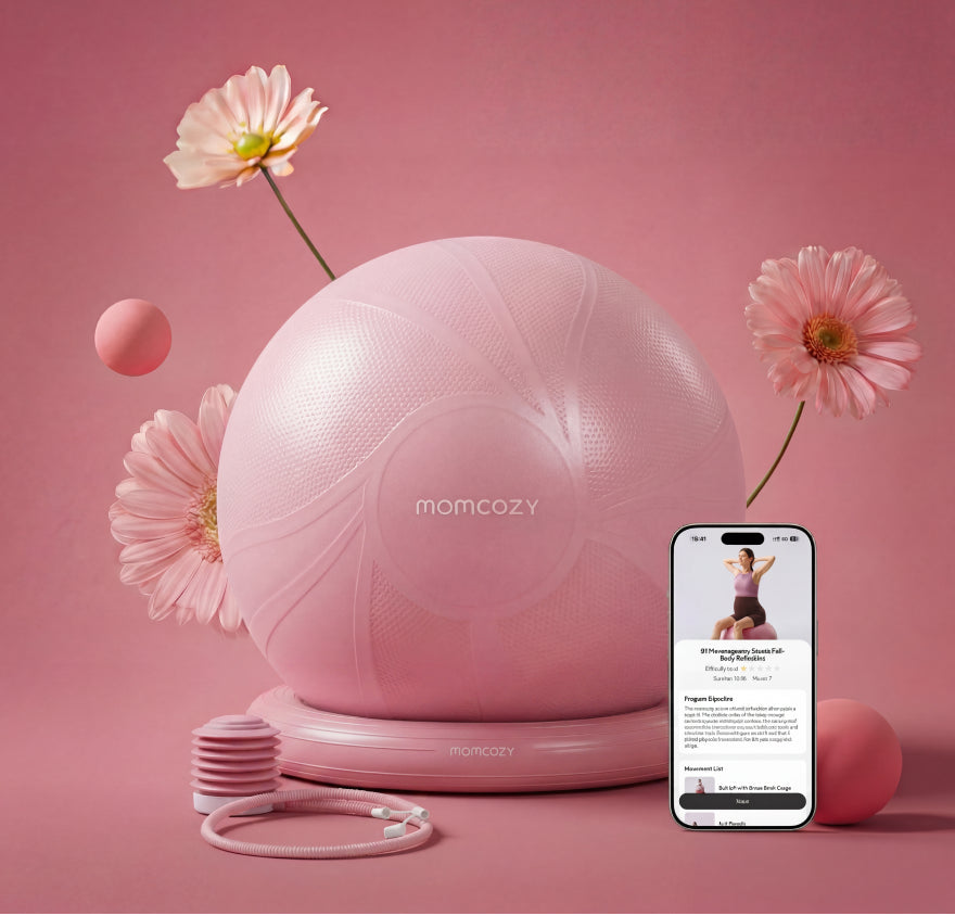 Momcozy BirthEase Maternity Ball Set—Maternity Exercise Ball