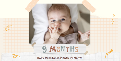 9 Month Old Milestones